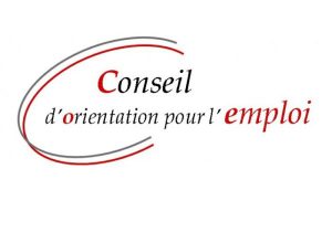 logo-conseil-dorientation-pour-lemploi-600x420